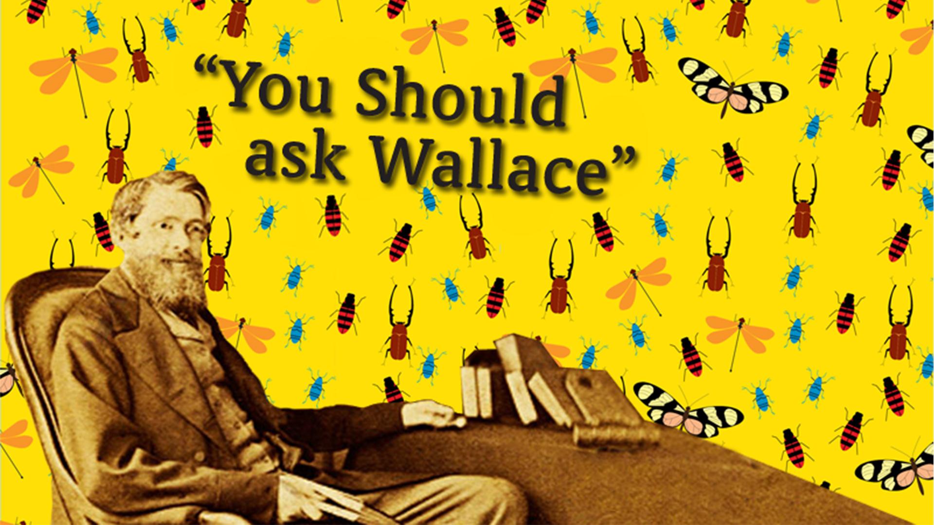 Photograph of Alfred Russel Wallace with illustrations of butterflies and insects in the background